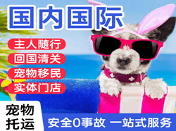 无锡机场快运国际宠物托运 【国
